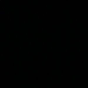 Meet your Posher, Raegan